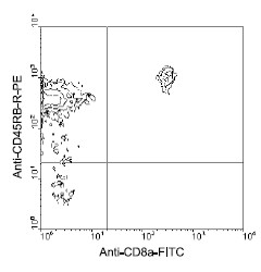 Flow Cytometry - PE Anti-CD45RB antibody [C363.16A] (AB25647), expandable thumbnail