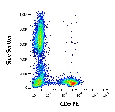 Flow Cytometry - PE Anti-CD5 antibody [L17F12] (AB269293)
