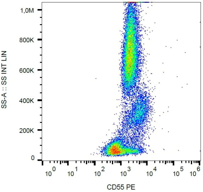 Flow Cytometry - PE Anti-CD55 antibody [MEM-118] (AB130421)