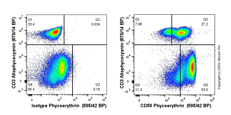 Flow Cytometry - PE Anti-CD58 antibody [EPR24012-147] (AB306539)