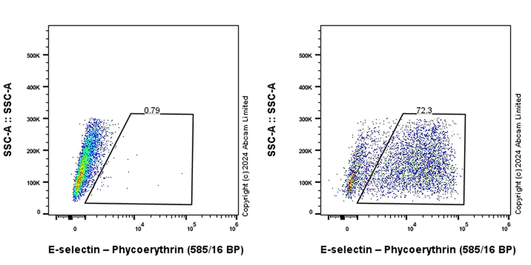 Flow Cytometry - PE Anti-CD62E antibody [EPR25616-62] (AB322672)