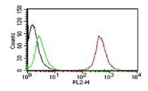 Flow Cytometry - PE Anti-CD63 antibody [NKI/C3] - Late Endosome Marker (AB215431)