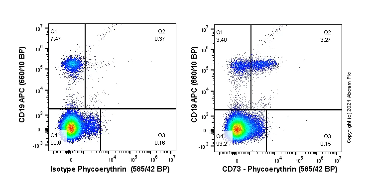 Flow Cytometry - PE Anti-CD73 antibody [EPR23048-139] (AB282789)