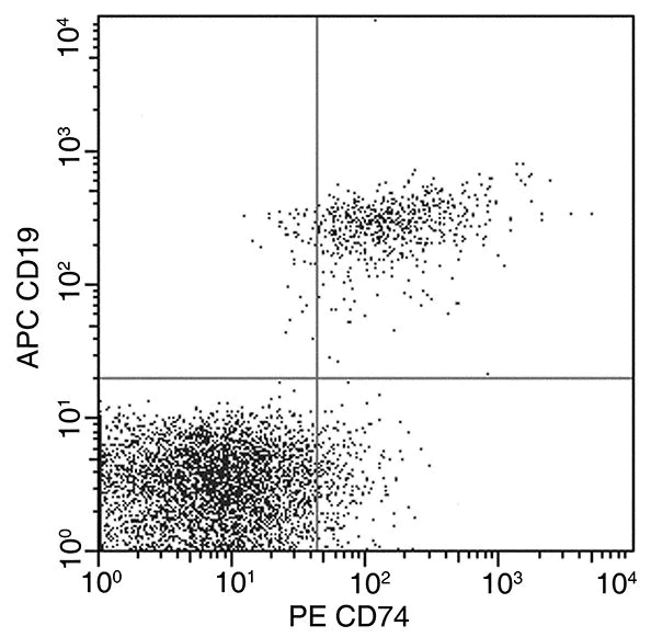 Flow Cytometry - PE Anti-CD74 antibody [01] (AB279596)