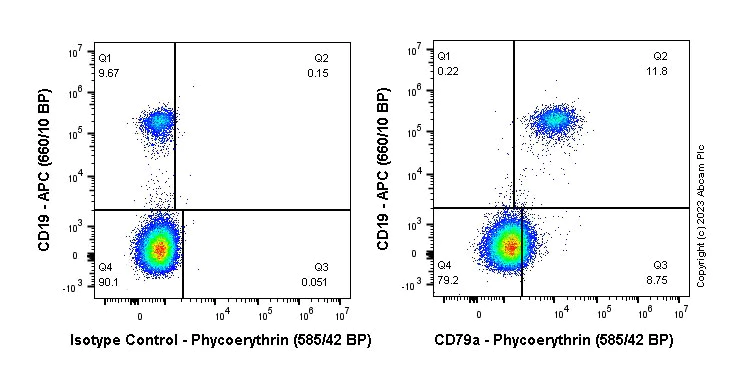 Flow Cytometry (Intracellular) - PE Anti-CD79a antibody [EPR3619] (AB314269)
