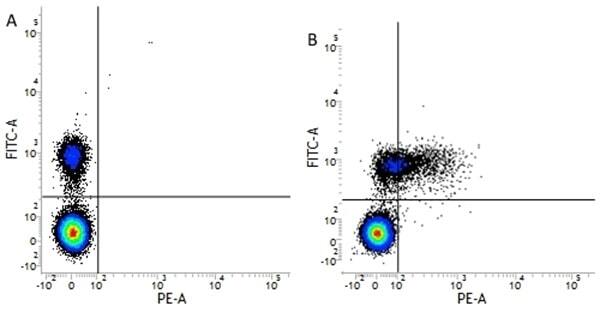 Flow Cytometry - PE Anti-CD79b antibody [AT105-1] (AB33295)