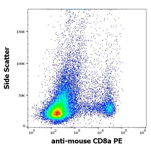 Flow Cytometry - PE Anti-CD8 alpha antibody [53-6.7] (AB272343), expandable thumbnail