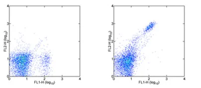Flow Cytometry - PE Anti-CD8 beta antibody [H35-17.2] (AB95772)