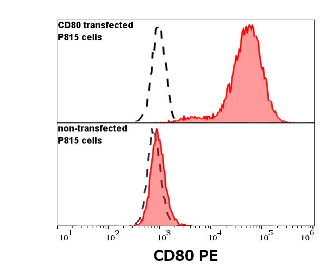 Flow Cytometry - PE Anti-CD80 antibody [MEM-233] (AB69778)