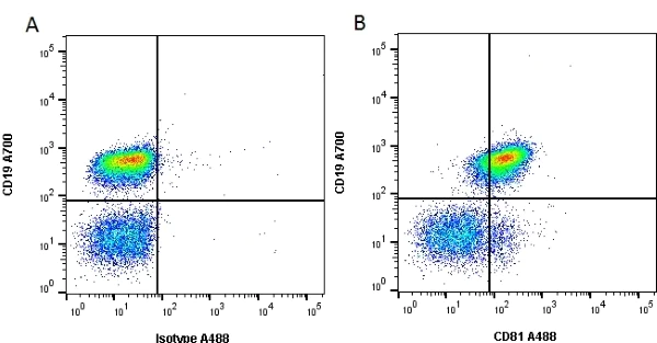 Flow Cytometry - PE Anti-CD81 antibody [Eat 2] (AB23553)