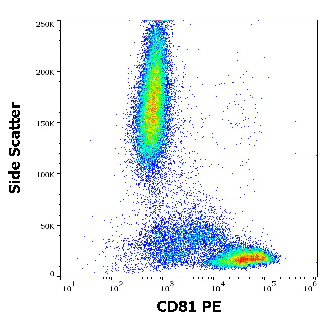 Flow Cytometry - PE Anti-CD81 antibody [M38] (AB326511)
