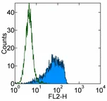 Flow Cytometry - PE Anti-CD90 / Thy1 antibody [5E10] (AB95700)