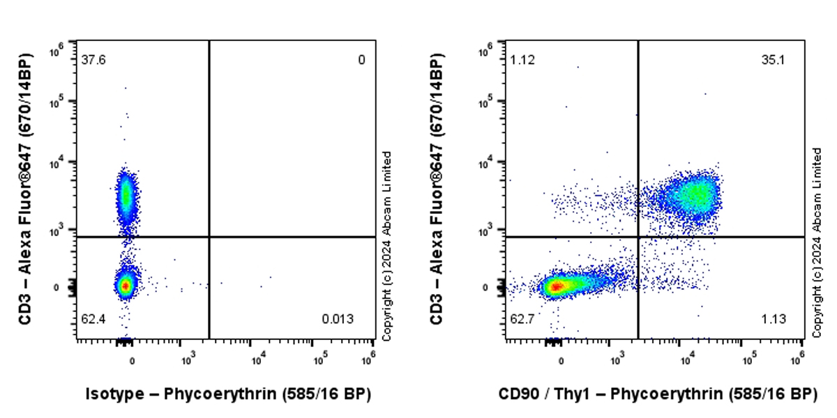 Flow Cytometry - PE Anti-CD90 / Thy1 antibody [EPR28145-53] (AB322673), expandable thumbnail