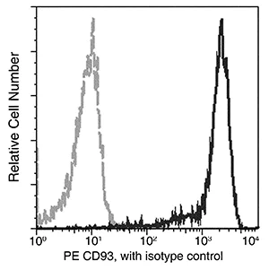 Flow Cytometry - PE Anti-CD93 antibody [01] (AB275584)