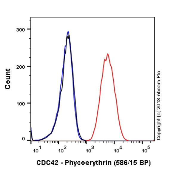 Flow Cytometry (Intracellular) - PE Anti-CDC42 antibody [EPR15620] (AB225346)