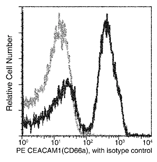 Flow Cytometry - PE Anti-CEACAM1 antibody [117] (AB275673)