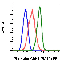 Flow Cytometry - PE Anti-Chk1 (phospho S345) antibody [Chk1S345-R3F9] (AB278744)