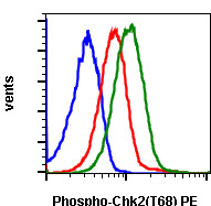 Flow Cytometry - PE Anti-Chk2 (phospho T68) antibody [Chk2T68-D12] (AB278738), expandable thumbnail