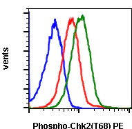 Flow Cytometry - PE Anti-Chk2 (phospho T68) antibody [Chk2T68-D12] (AB278738)