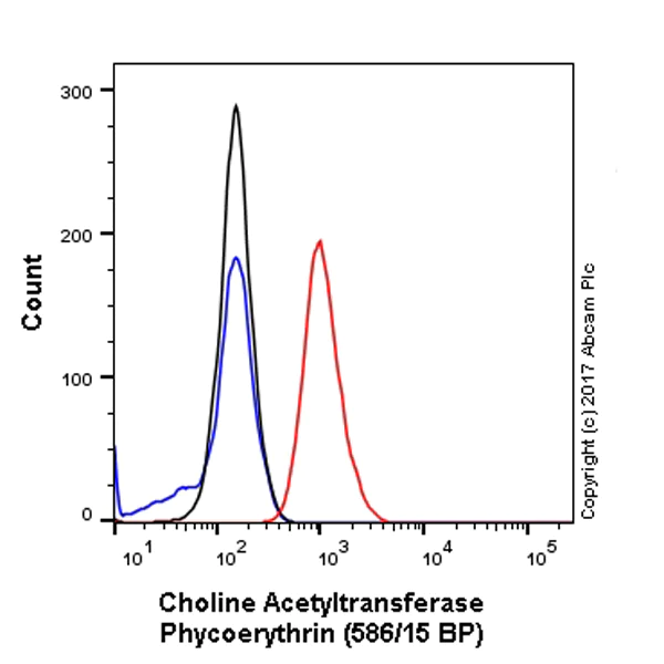 Flow Cytometry (Intracellular) - PE Anti-Choline Acetyltransferase antibody [EPR13024(B)] (AB224000)