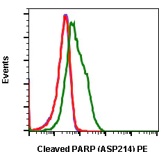 Flow Cytometry - PE Anti-Cleaved PARP1 antibody [PARP-H8] (AB278605)