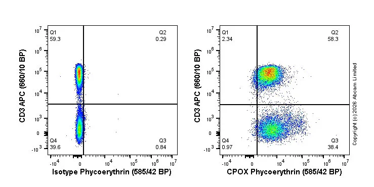 Flow Cytometry (Intracellular) - PE Anti-CPOX antibody [EPR11927(B)] (AB326180)