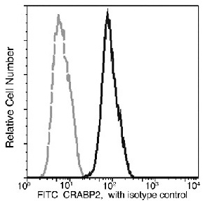 Flow Cytometry (Intracellular) - PE Anti-CRABP2 antibody [004] (AB275682)