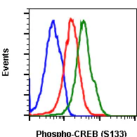 Flow Cytometry - PE Anti-CREB (phospho S133) antibody [CREBS133-4D11] (AB278739)