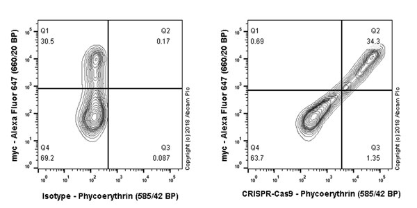 Flow Cytometry (Intracellular) - PE Anti-CRISPR-Cas9 antibody [EPR19799] (AB215701)