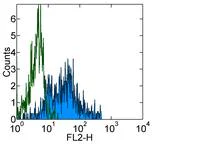 Flow Cytometry - PE Anti-CSF-1-R antibody [12-3A3-1B10] (AB95731)