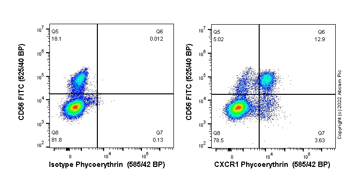 Flow Cytometry - PE Anti-CXCR1 antibody [EPR23700-70] (AB306543)