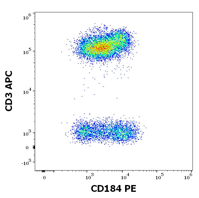 Flow Cytometry - PE Anti-CXCR4 antibody [12G5] (AB326498)