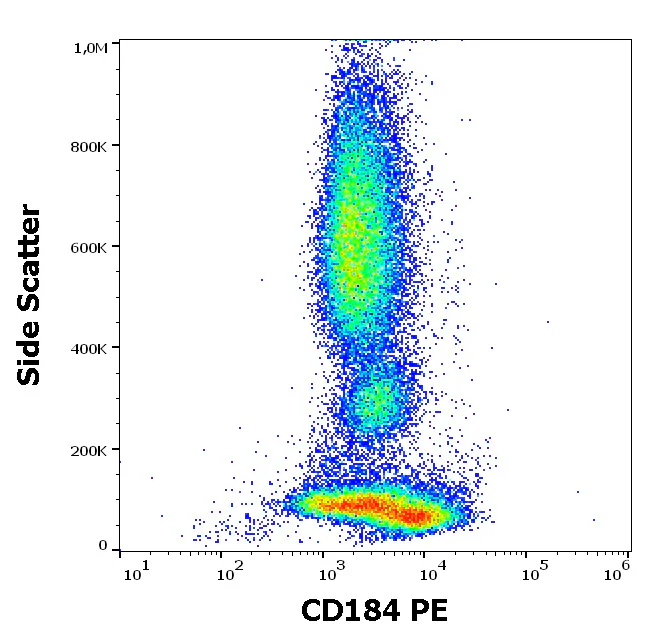 Flow Cytometry - PE Anti-CXCR4 antibody [12G5] (AB326498)