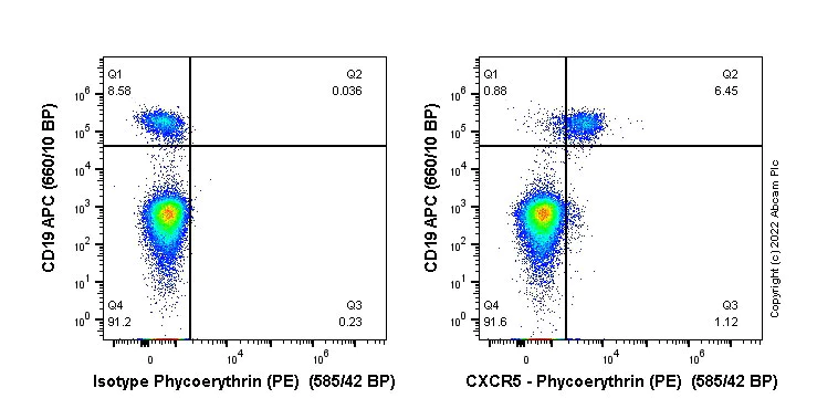 Flow Cytometry - PE Anti-CXCR5 antibody [EPR23463-30] (AB307637)