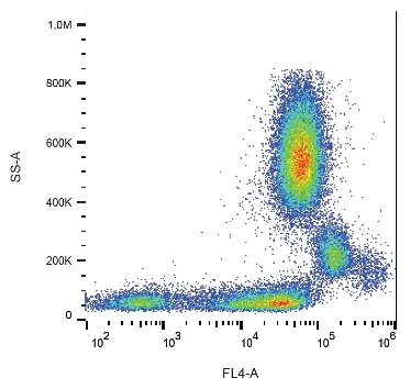 Flow Cytometry - PE/Cy5® Anti-CD31 antibody [MEM05] (AB233642)