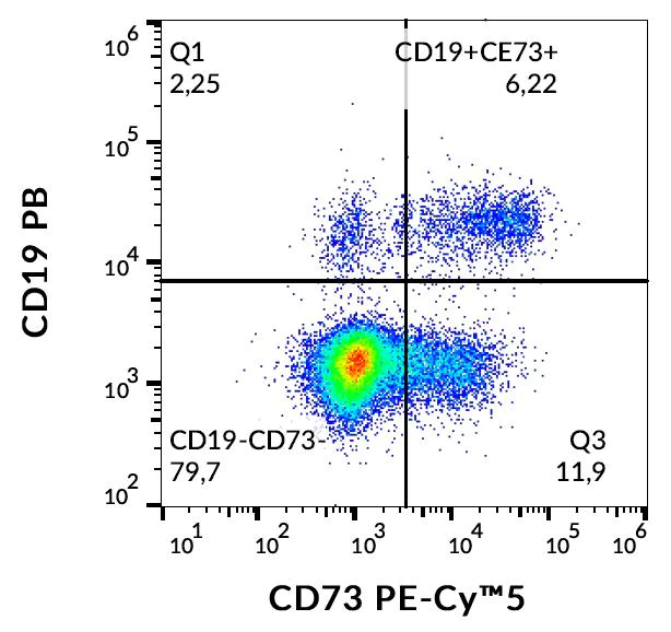 Flow Cytometry - PE/Cy5® Anti-CD73 antibody [AD2] (AB253267)