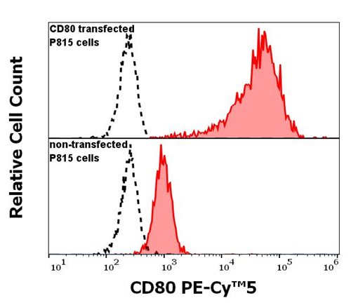 Flow Cytometry - PE/Cy5® Anti-CD80 antibody [MEM-233] (AB233572)