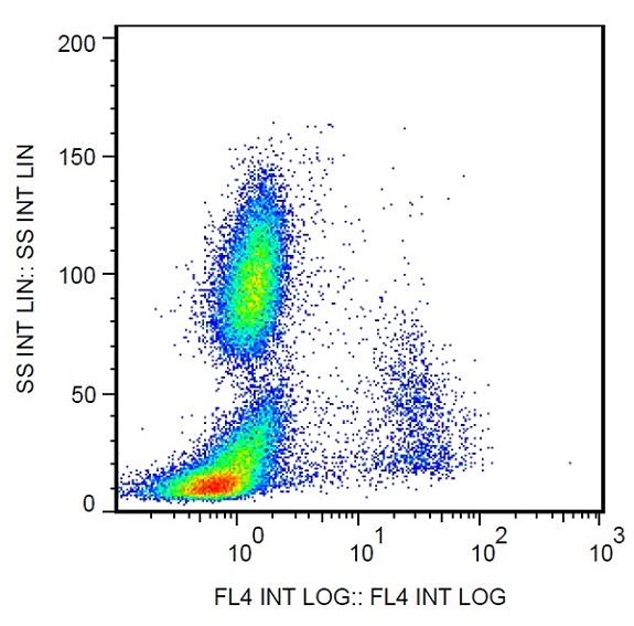 Flow Cytometry - PE/Cy5® Anti-CD86 antibody [BU63] (AB234226)
