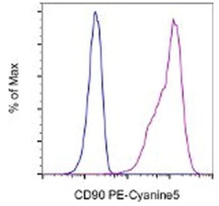 Flow Cytometry - PE/Cy5® Anti-CD90 / Thy1 antibody [5E10] (AB95698)