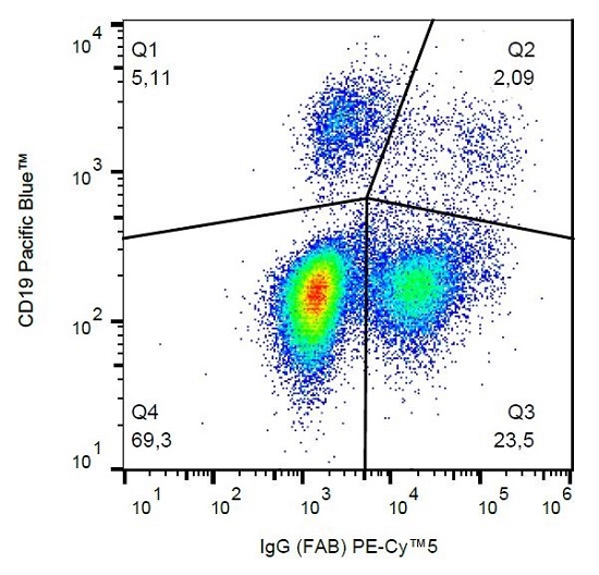 Flow Cytometry - PE/Cy5® Anti-IgG antibody [4A11] (AB239260)
