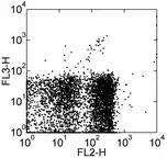 Flow Cytometry - PE/Cy5® Anti-TCR gamma + TCR delta antibody [GL3] (AB95737)