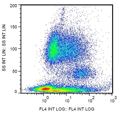 Flow Cytometry - PE/Cy5.5® Anti-P-Selectin (CD62P) antibody [AK4] (AB234221)