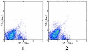Flow Cytometry - PE/Cy7® Anti-c-Kit antibody [2B8] (AB95676), expandable thumbnail