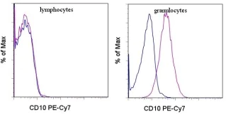 Flow Cytometry - PE/Cy7® Anti-CD10 antibody [CB-CALLA] (AB95544)