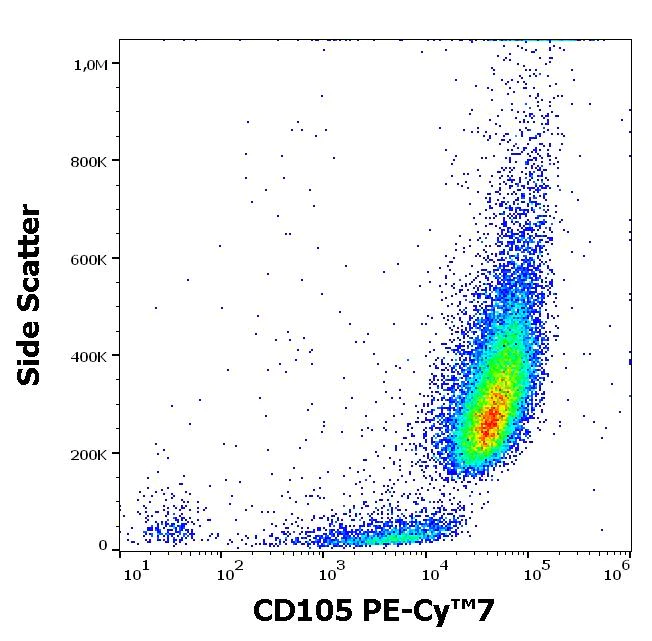 Flow Cytometry - PE/Cy7® Anti-CD105 antibody [MEM-226] (AB272352)