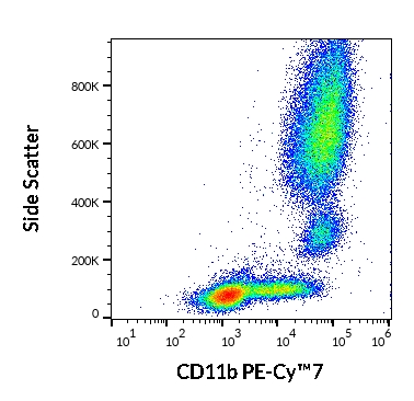 Flow Cytometry - PE/Cy7® Anti-CD11b antibody [ICRF44] (AB269334)