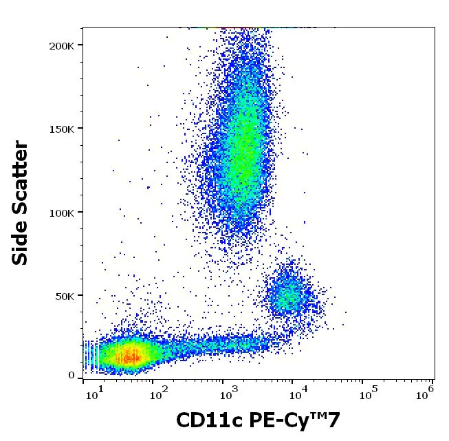 Flow Cytometry - PE/Cy7® Anti-CD11c antibody [BU15] (AB230666)