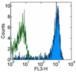 Flow Cytometry - PE/Cy7® Anti-CD14 antibody [61D3] (AB155360)