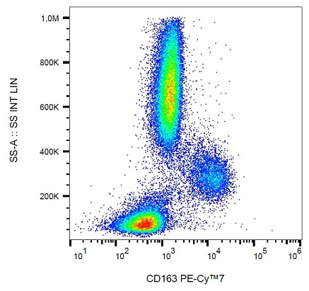 Flow Cytometry - PE/Cy7® Anti-CD163 antibody [GHI61] (AB233653)