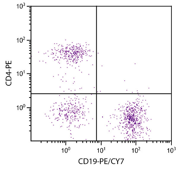Flow Cytometry - PE/Cy7® Anti-CD19 antibody [6D5] (AB25509), expandable thumbnail